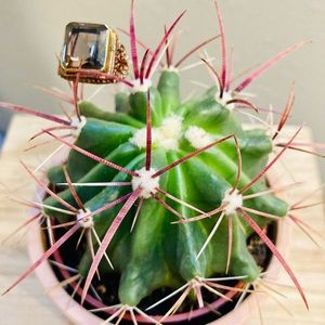 Handmade, Rare, Classy Smoky Topaz 2 Tone .925 Sterling Silver & Gold Ring Sz 9